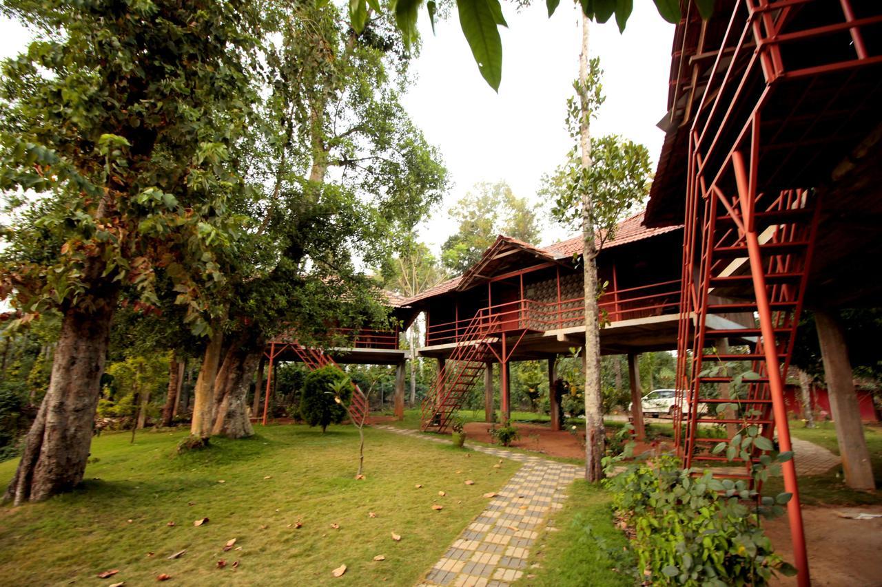 Pepper Green Wayanad Resort With Swimming Pool Kattikkulam 외부 사진