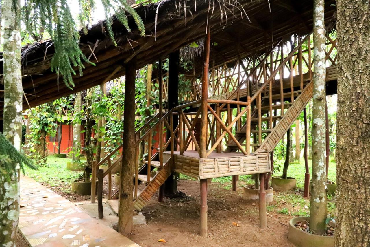 Pepper Green Wayanad Resort With Swimming Pool Kattikkulam 외부 사진