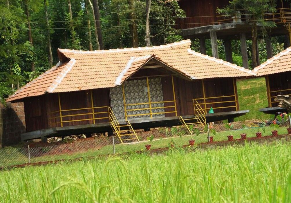 Pepper Green Wayanad Resort With Swimming Pool Kattikkulam 외부 사진